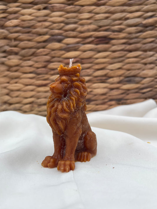 Bougie lion majestueux parfum COOKIES CHOCOLAT